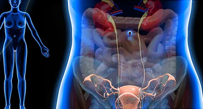 Pelvic Pain Treatment